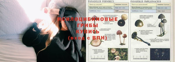 спиды Армянск