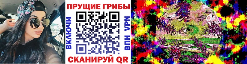 Галлюциногенные грибы мицелий купить наркотик omg зеркало Лабинск